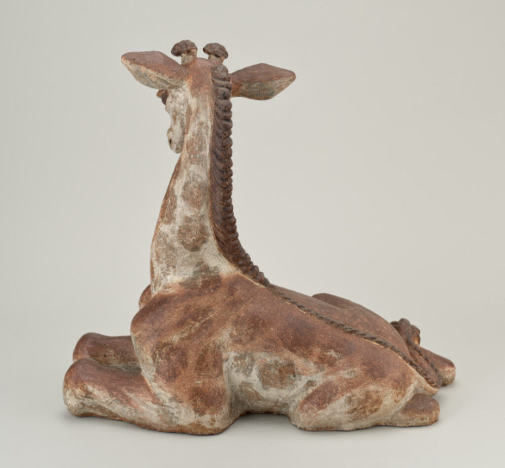 Young Giraffe - Image 4