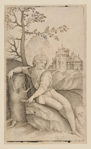 The Young Shepherd
