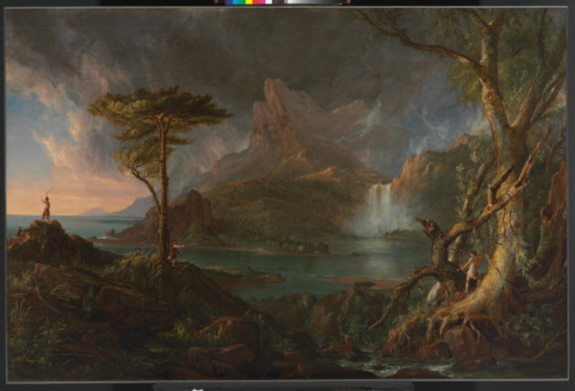 A Wild Scene