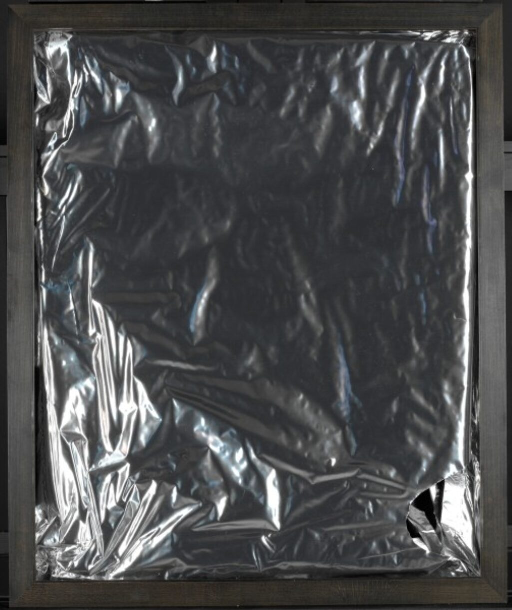 Family Group - Image 3