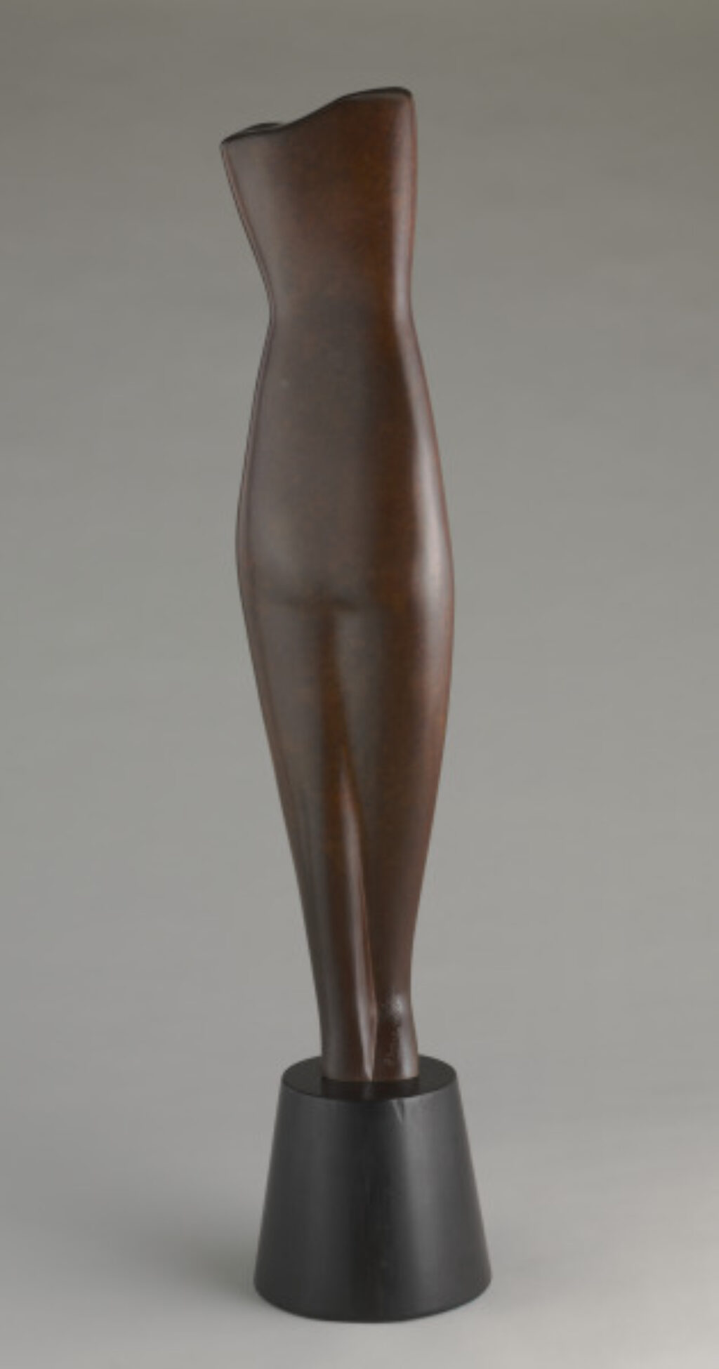 Hollywood Torso - Image 5