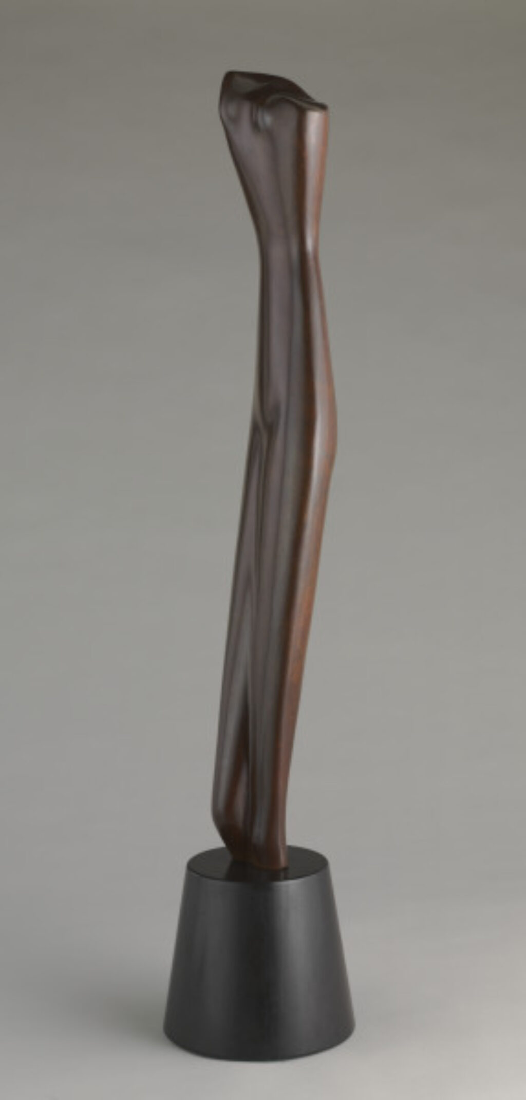 Hollywood Torso - Image 4