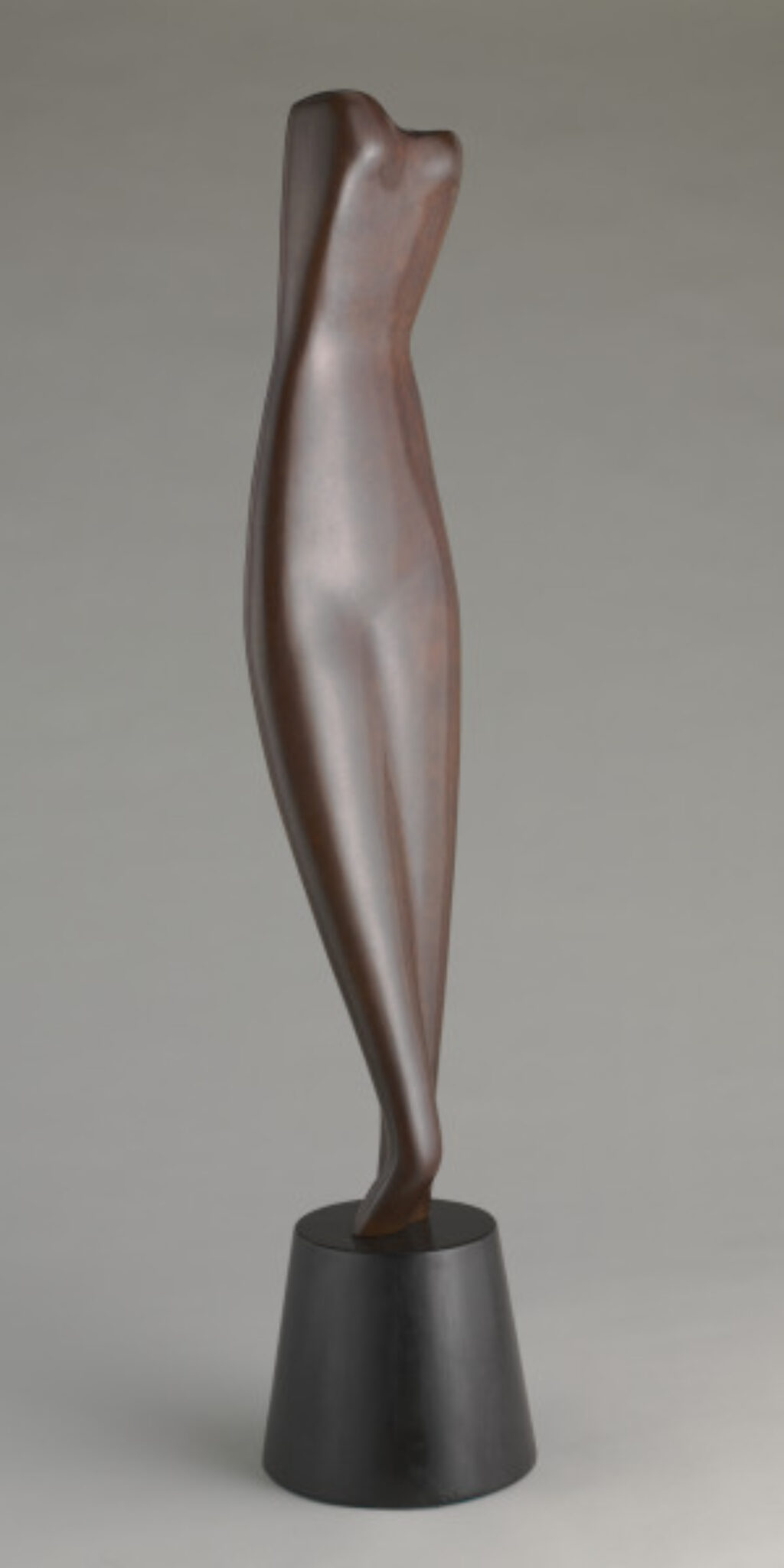 Hollywood Torso - Image 2