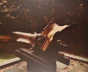 Somaini, The Wave. Photograph taken in The Wurtzburger Sculpture Garden (original site, Timberlane)