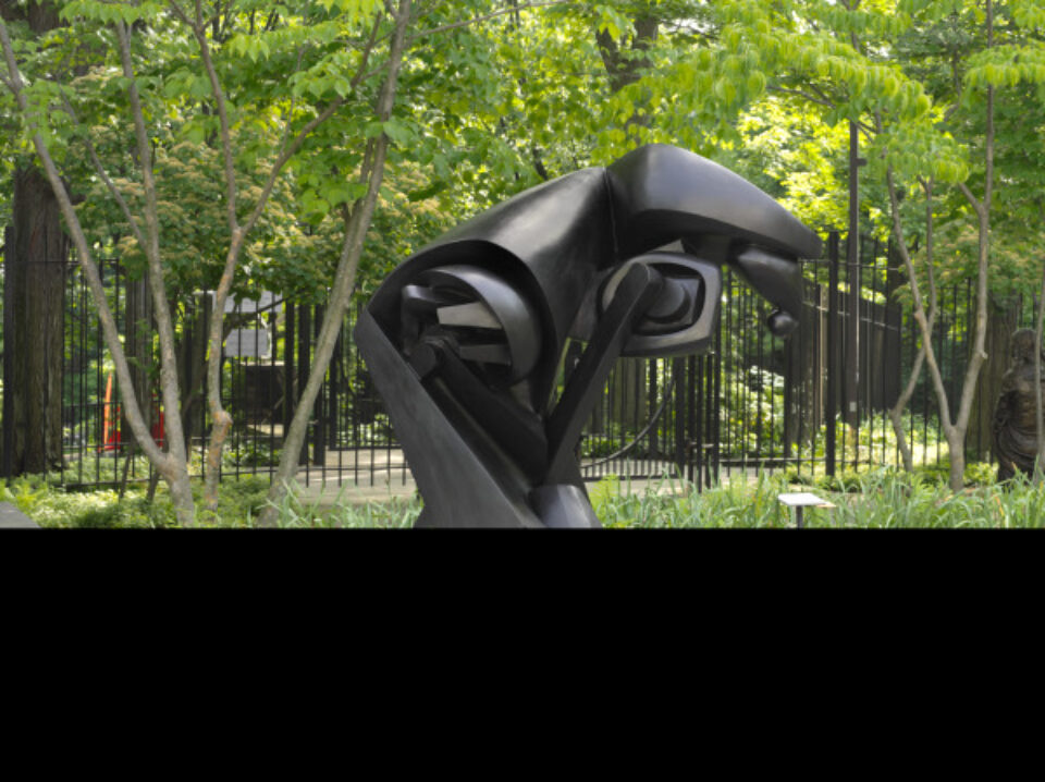 Raymond Duchamp-Villon