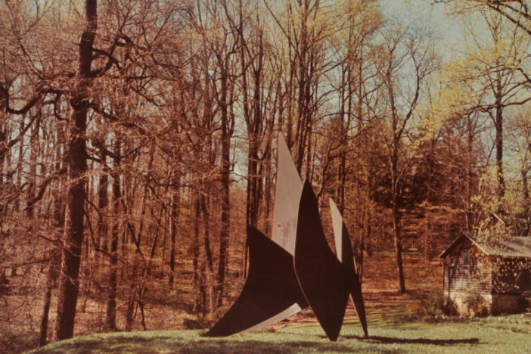 ALEXANDER CALDER, FOUR DISHES. PHOTOGRAPH TAKEN IN THE WURTZBURGER SCULPTURE GARDEN (ORIGINAL SITE, TIMBERLANE)