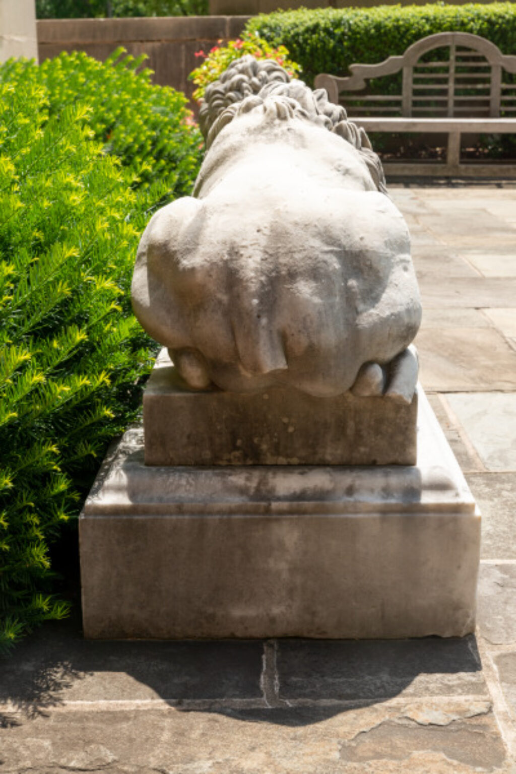 Guardian Lion - Image 5