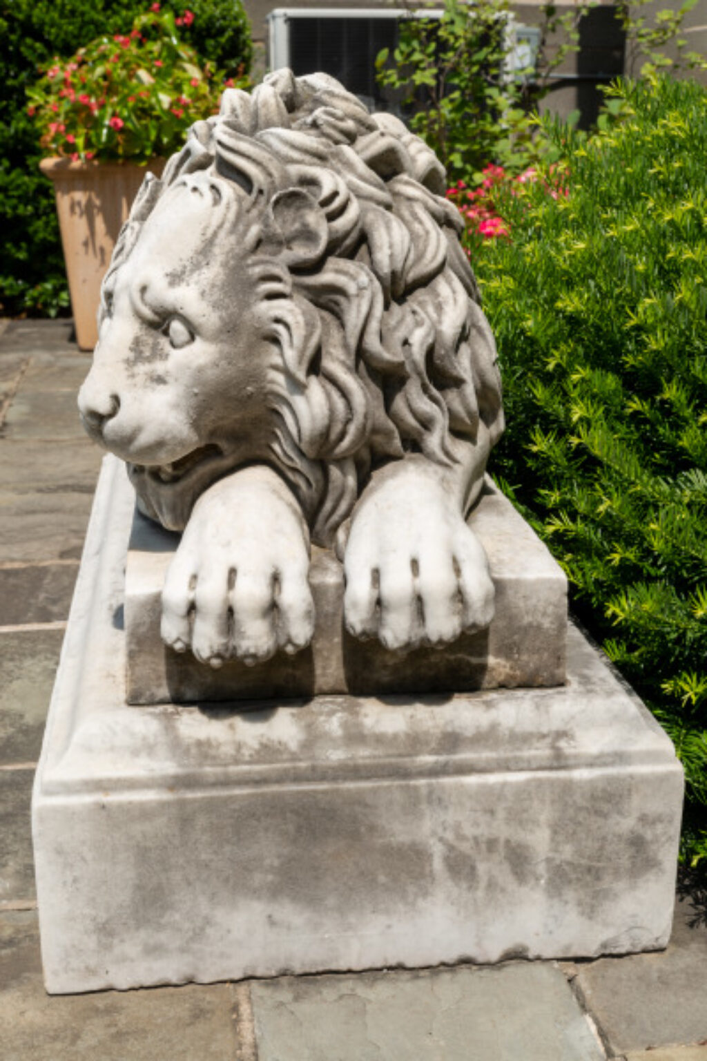 Guardian Lion - Image 3