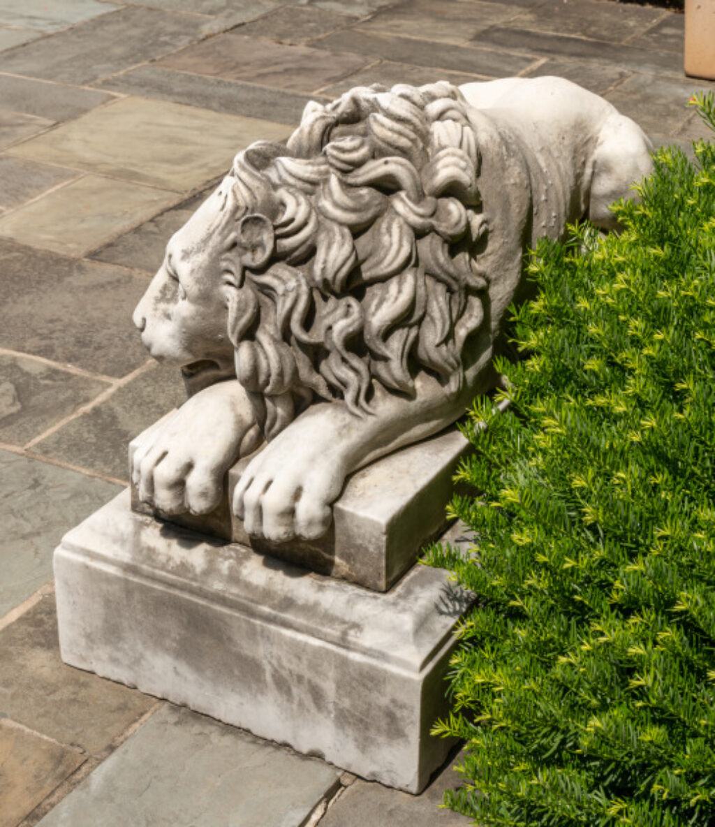 Guardian Lion - Image 2