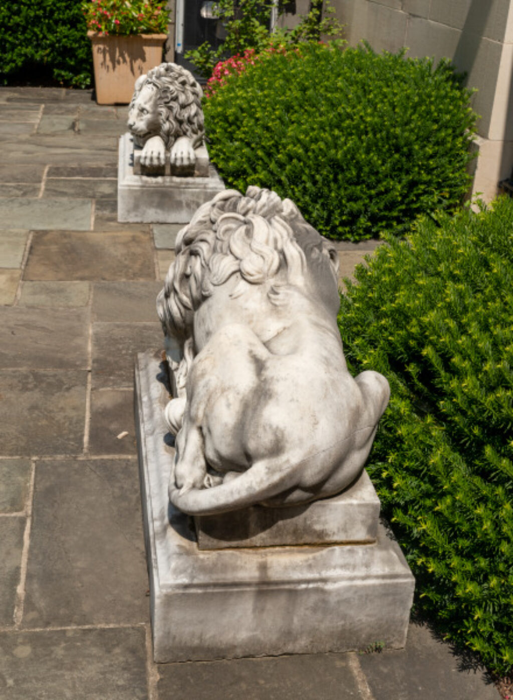 Guardian Lion - Image 11