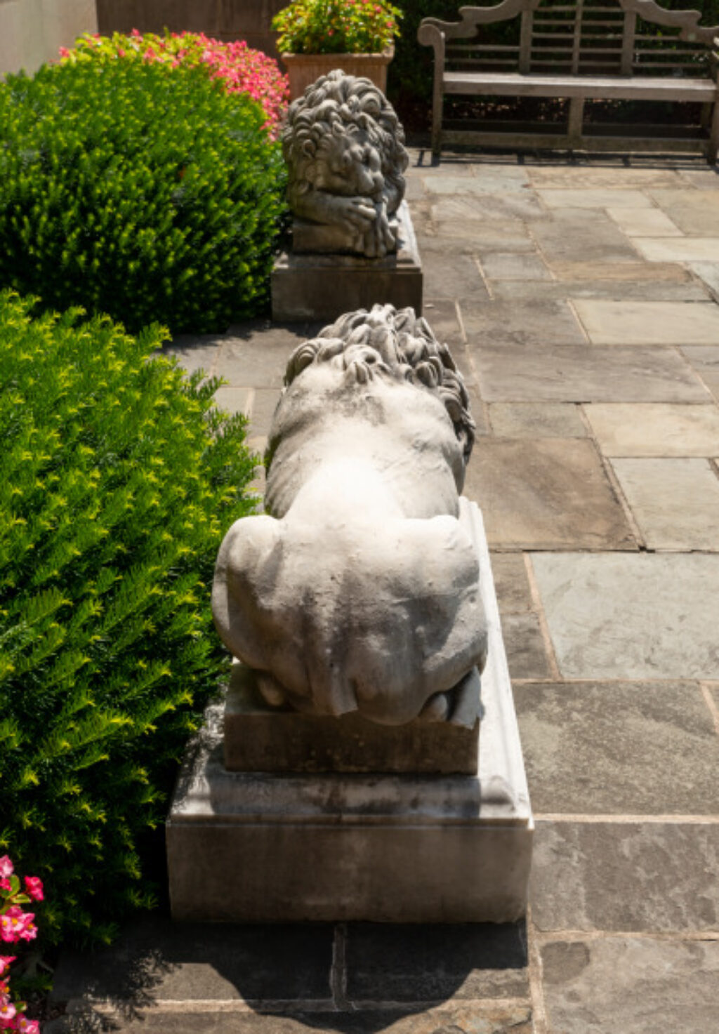 Guardian Lion - Image 10