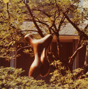 Jean Arp, Torso. Photograph taken in The Wurtzburger Sculpture Garden (original site, Timberlane)