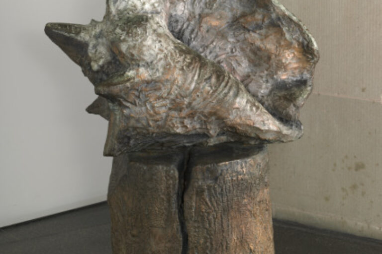 The Shell and the Log