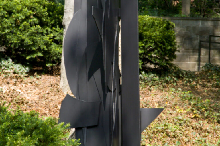 SEVENTH DECADE FOREST