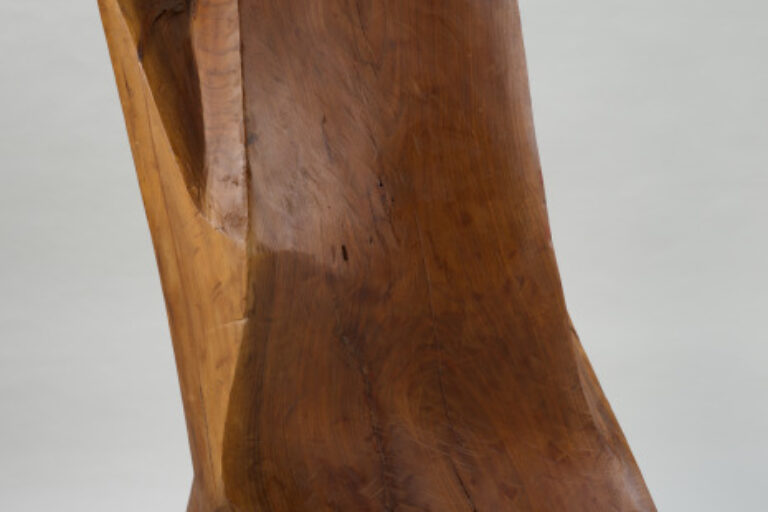 Schoharie River Poplar