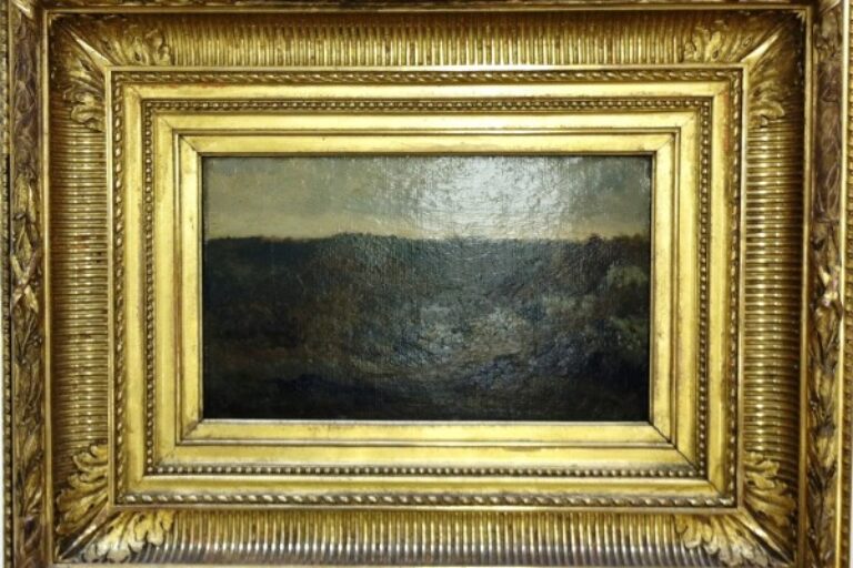 View in the Forest of Fontainebleau