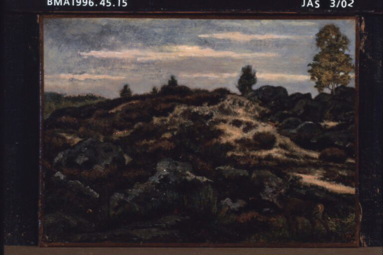 DEER IN THE FOREST OF FONTAINEBLEAU