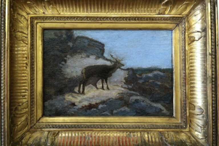 Deer on Mountainside