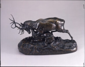 Loup tenant un cerf à la gorge