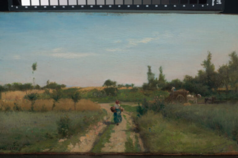 Through the Fields