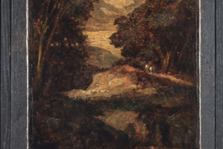At the Edge of the Forest
