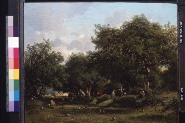 Orchard in Normandy