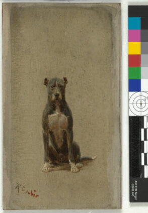 Study of a Dog
