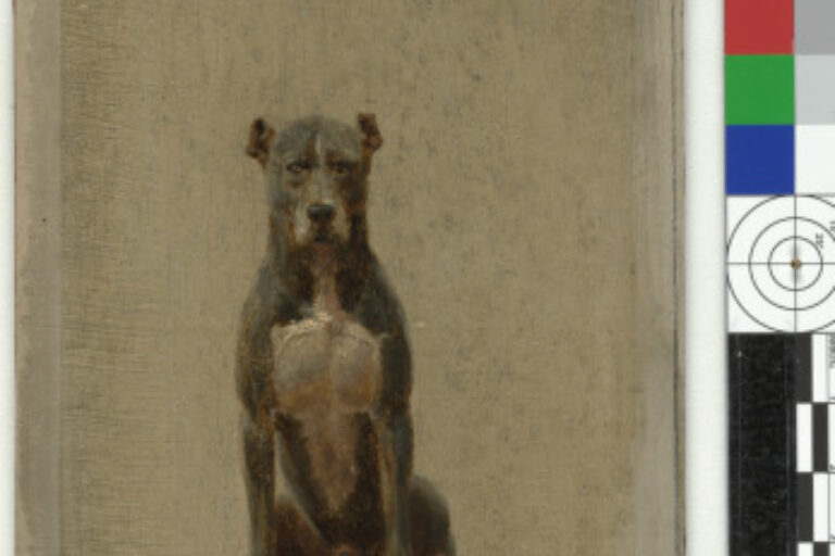 Study of a Dog