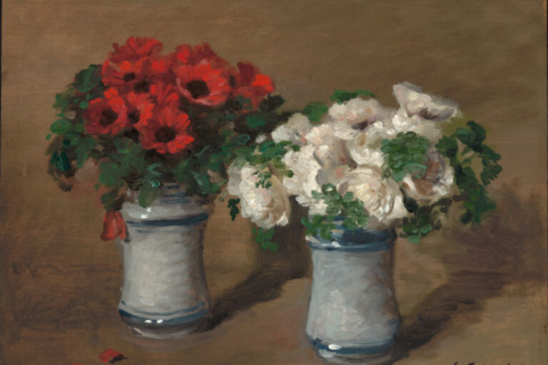 Red and White Flowers