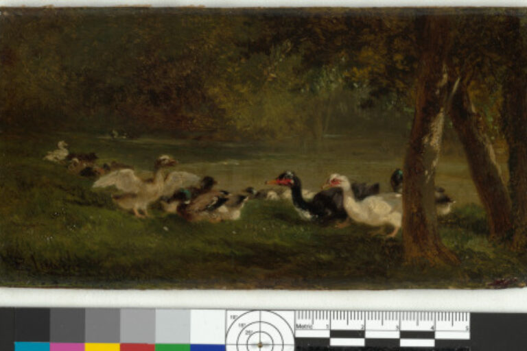 Duck Pond