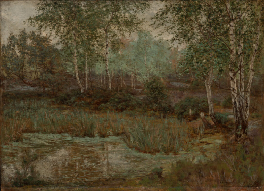 Study in the Forest of Fontainebleau