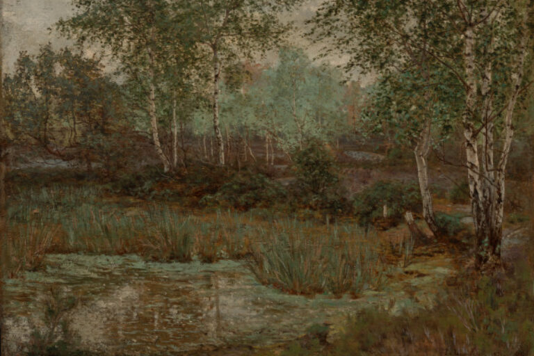 Study in the Forest of Fontainebleau