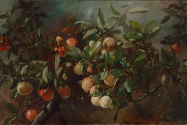 Apple Boughs