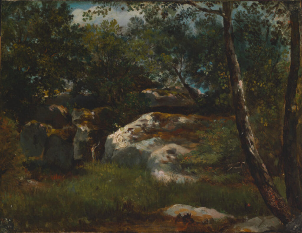 Forest of Fontainebleau - Image 1