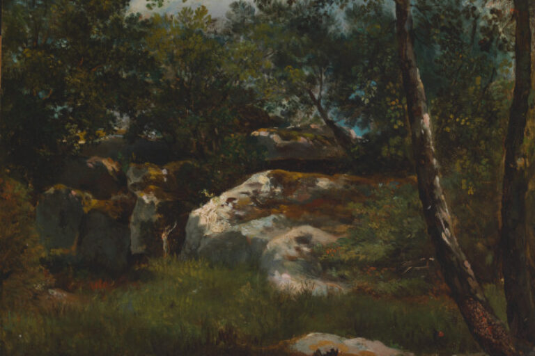 FOREST OF FONTAINEBLEAU