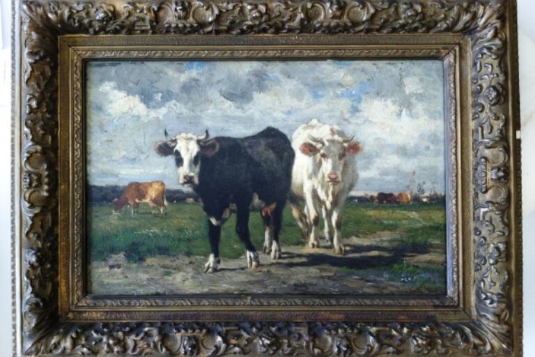 Cattle