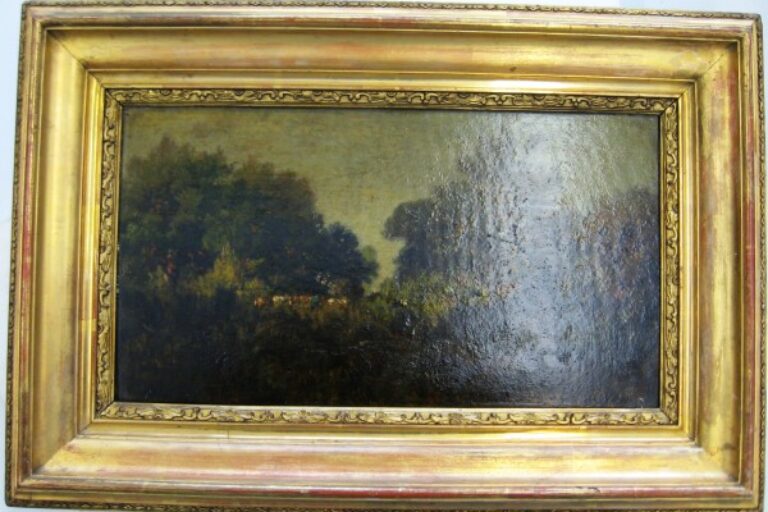Wooded Landscape