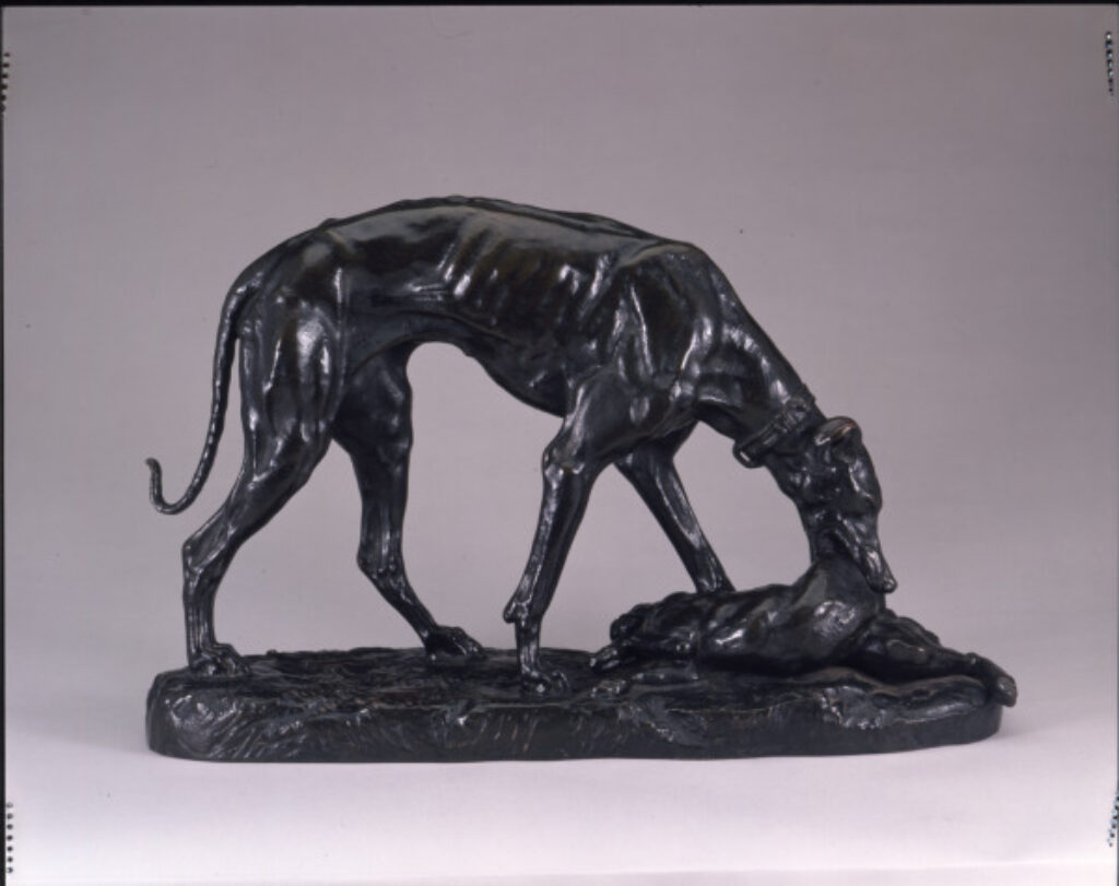 Greyhound Retrieving a Hare