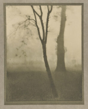 Kensington Gardens, November