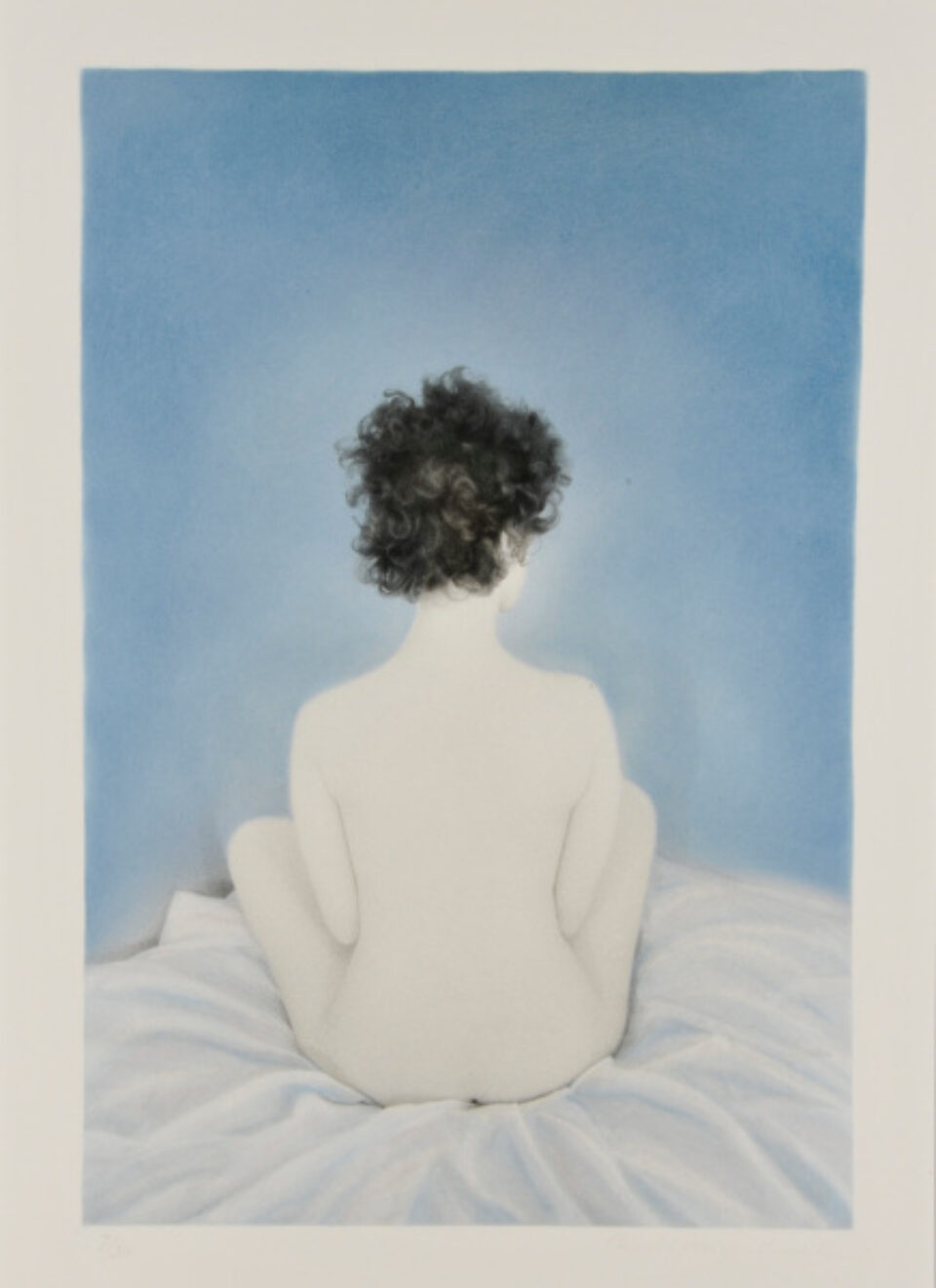 Aripeka Limited Editions