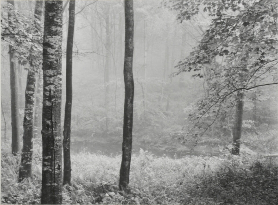 Max, Jacoby, & Zeller