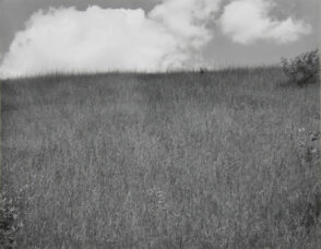 Landscape, Kalamazoo, Michigan.