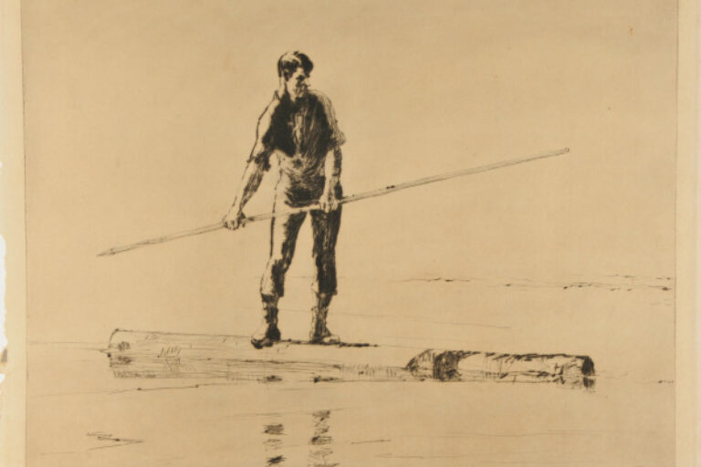 LOG DIVER
