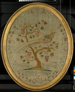 Golden Pheasant Perched in Berry Bush