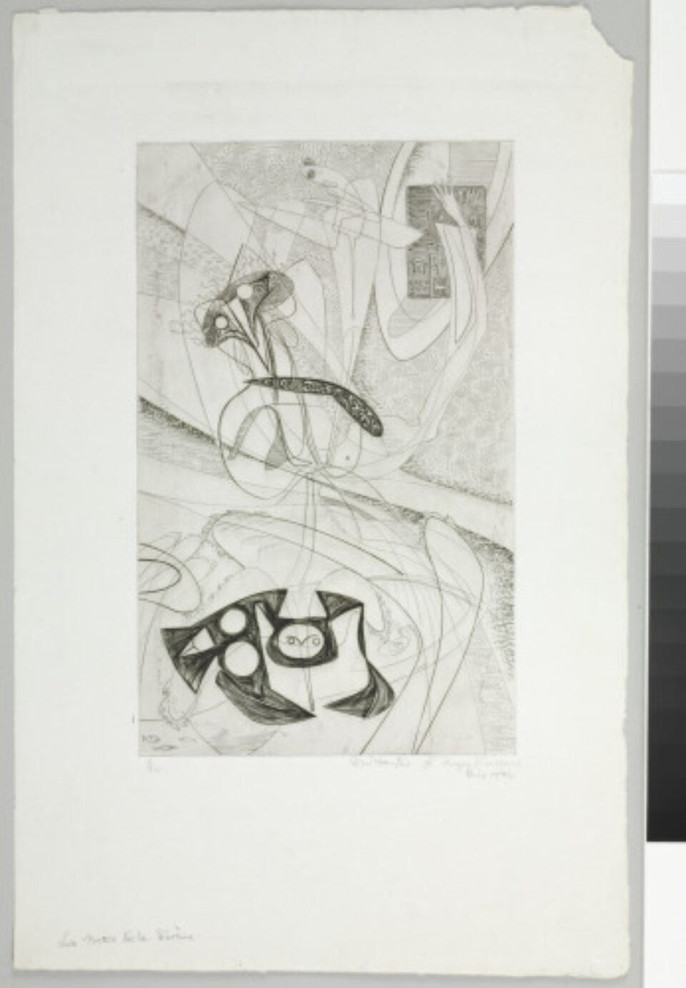 Johann Matthias Schild