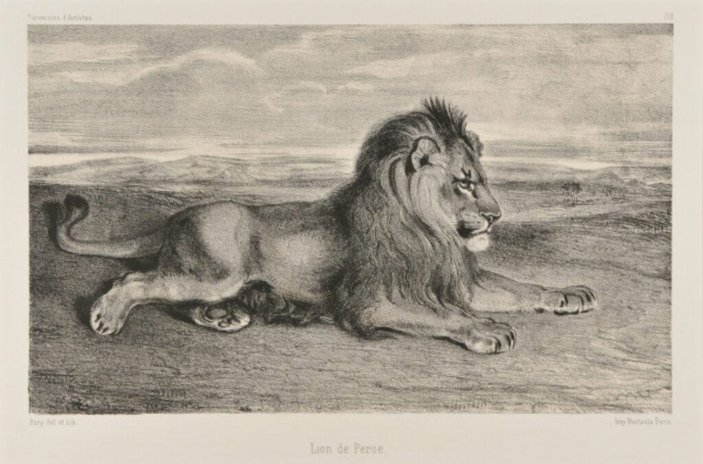 Lion de Perse