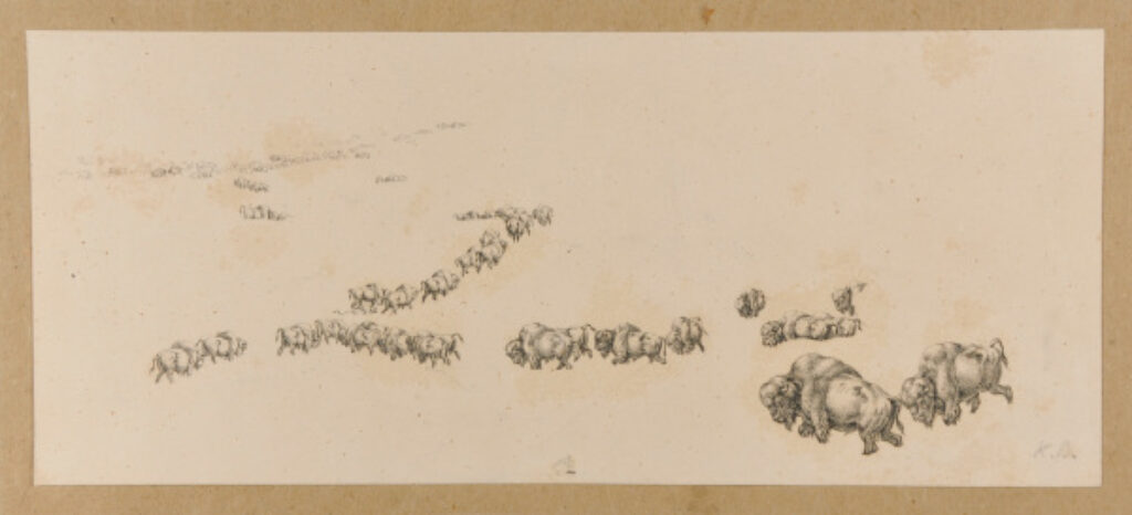 From the series “Travels in the Interior of North America, 1832-1834”