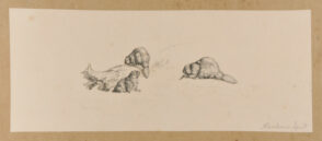 Beaver Hut on the Missouri