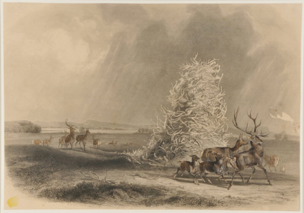 The Elkhorn Pyramid on the Upper Missouri