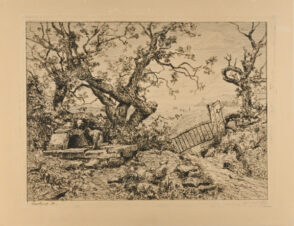 Woman drawing water from the Well